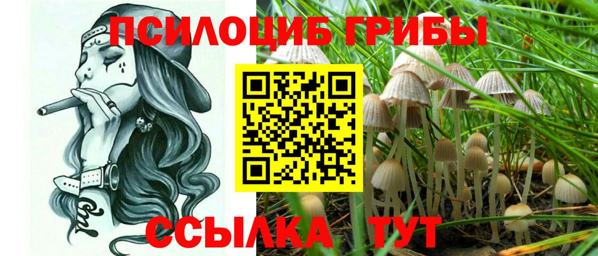 Галлюциногенные грибы ЛСД  Вход с VPN  Псилоцибиновые грибы прущие грибы  Иваново 