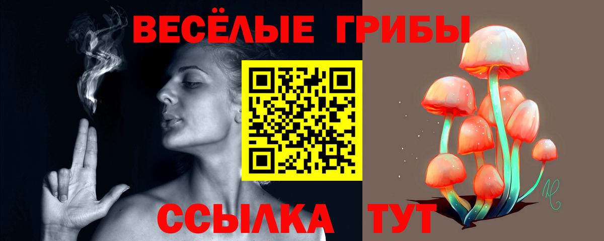 Псилоцибиновые грибы Magic Shrooms Иваново
